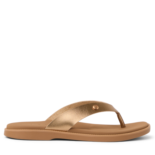 Brown sandal on a white background