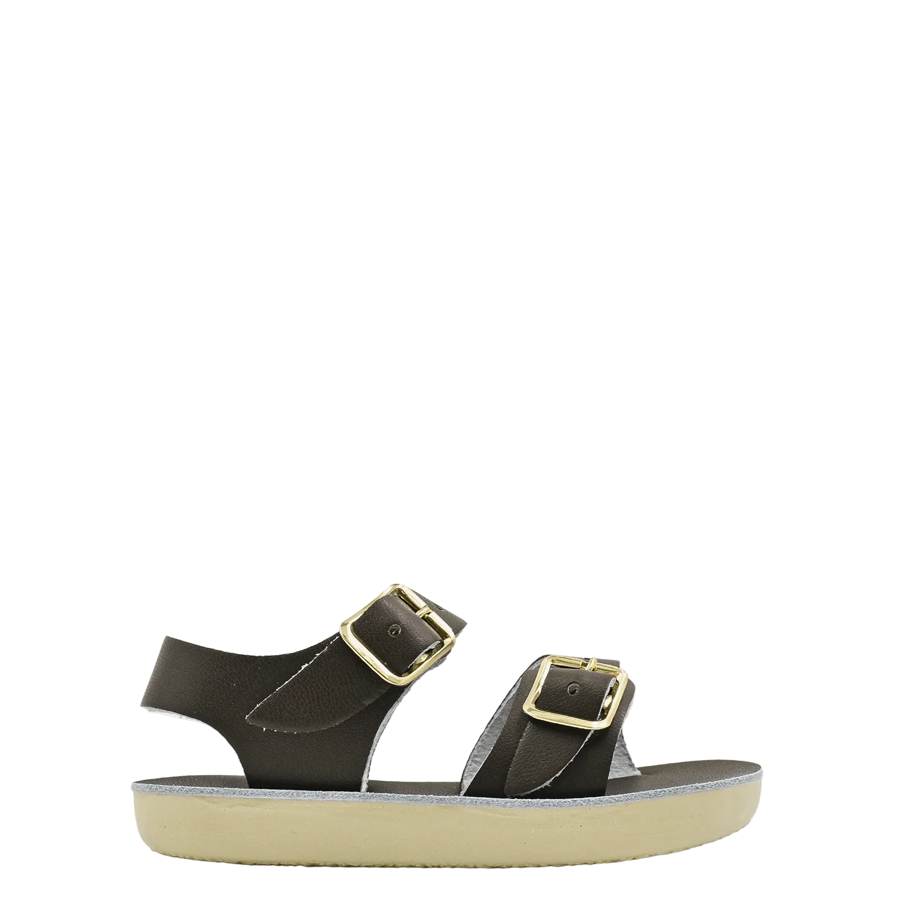 Black sandal with gold buckles on a white background